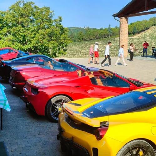 WhatsApp Image 2022-09-08 at 12.06.17 (1)